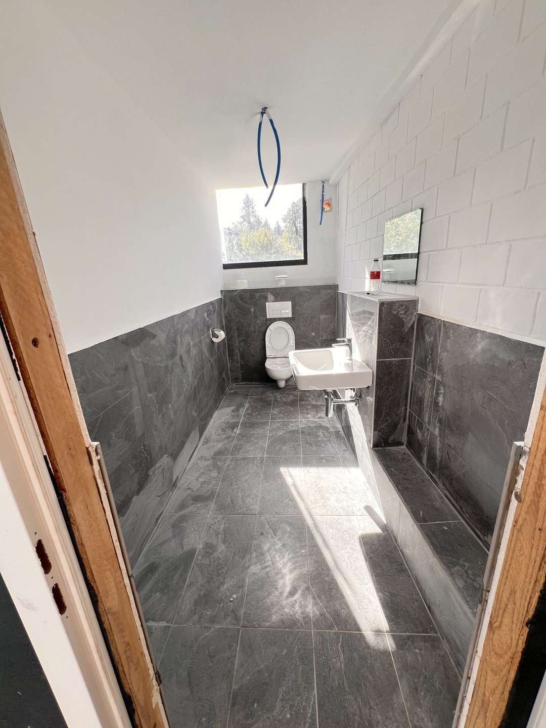 Picture 11