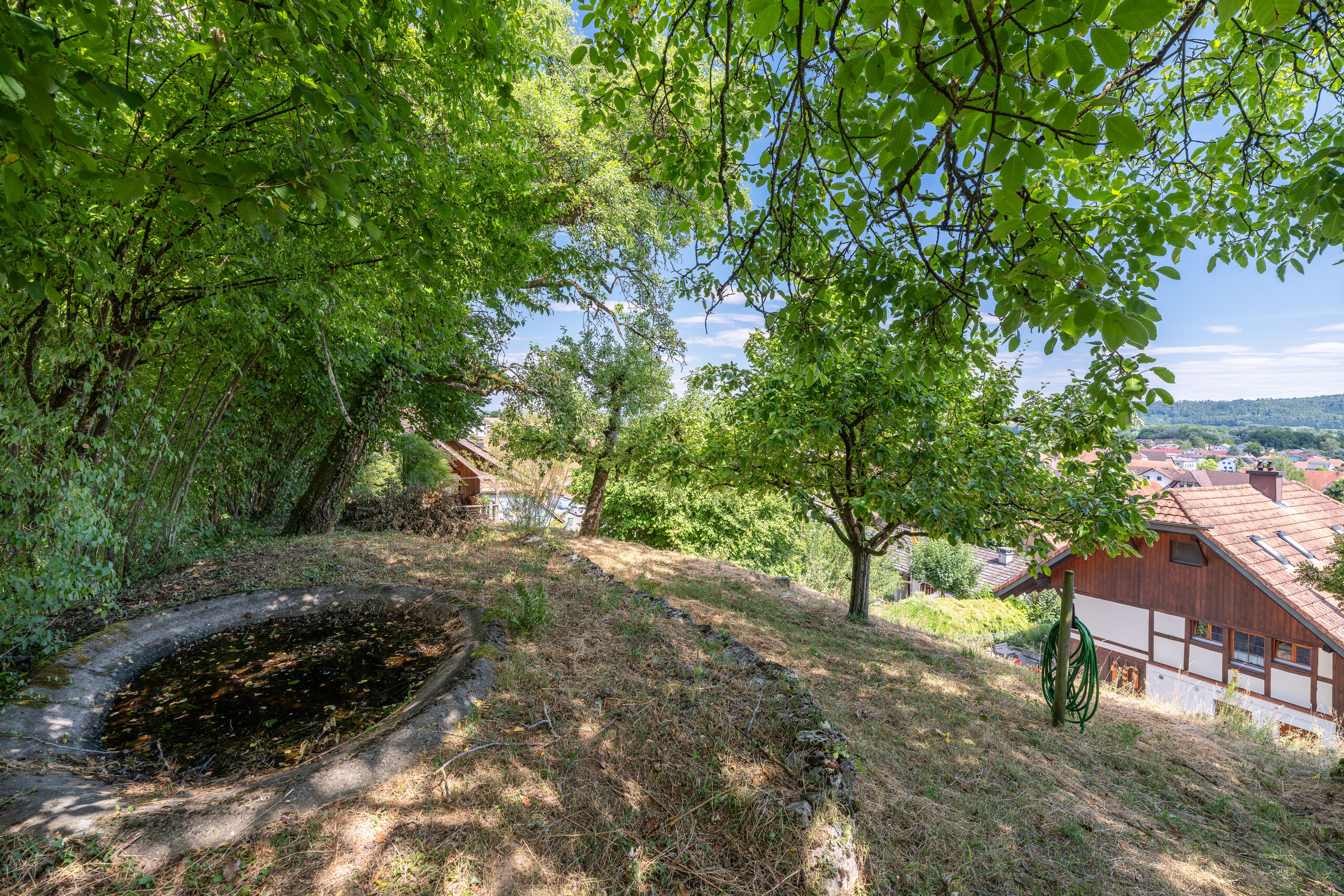 BAULAND SICHT GEGEN OSTEN BAULAND SICHT GEGEN OSTEN