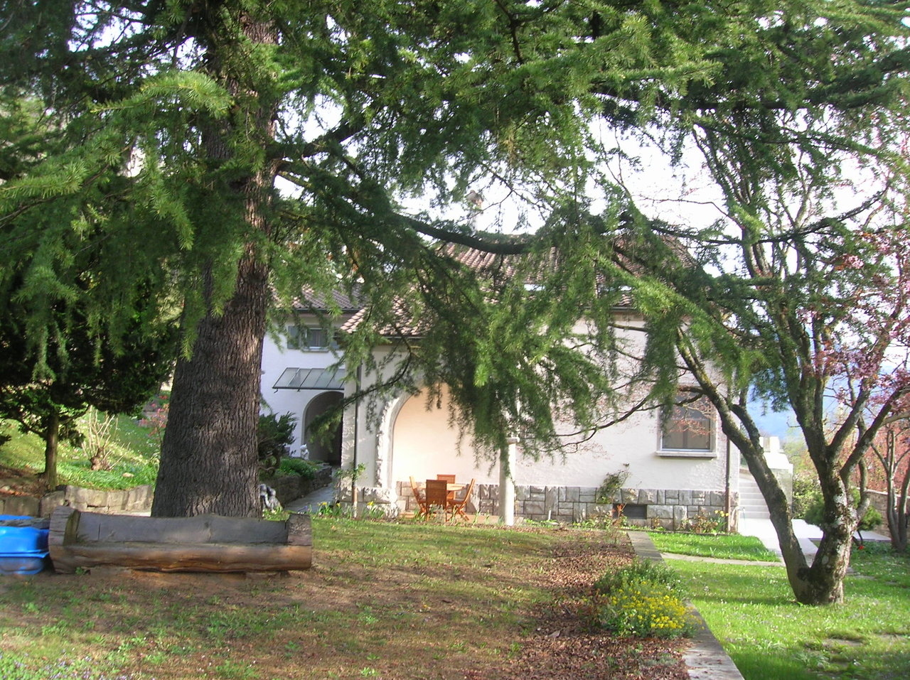Photo 8