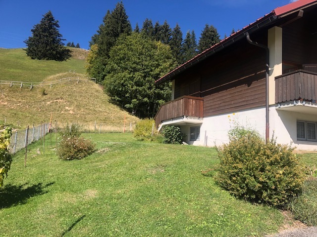 Photo 41
