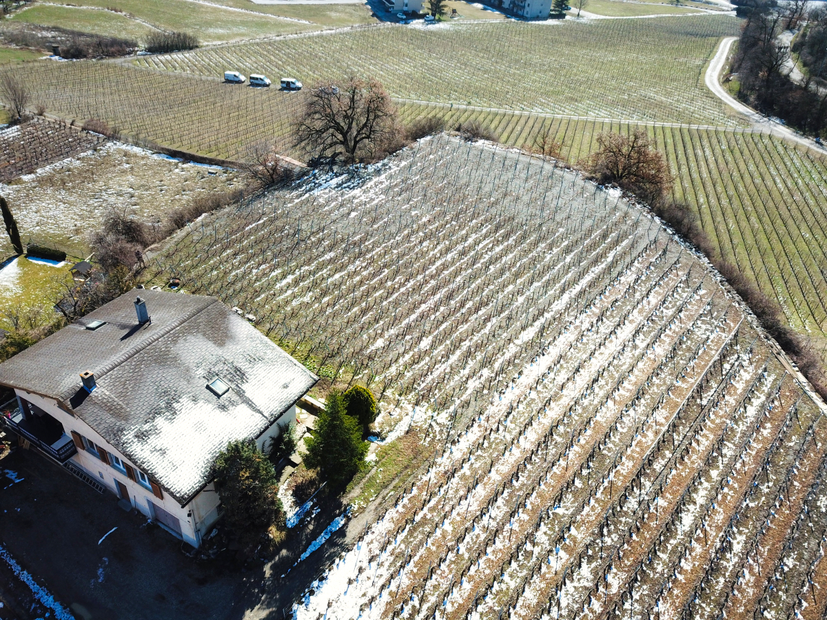 Terrain Sierre - Vue drone
