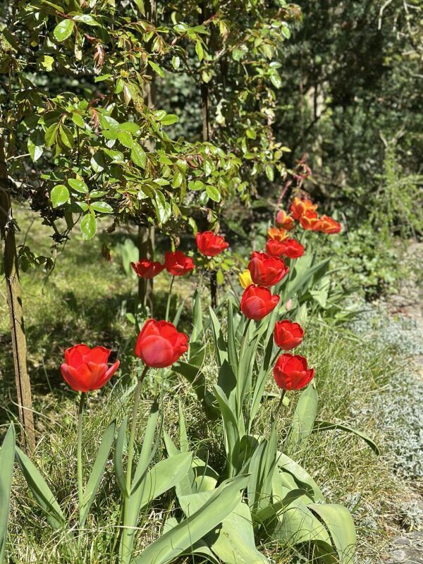 Photo 7