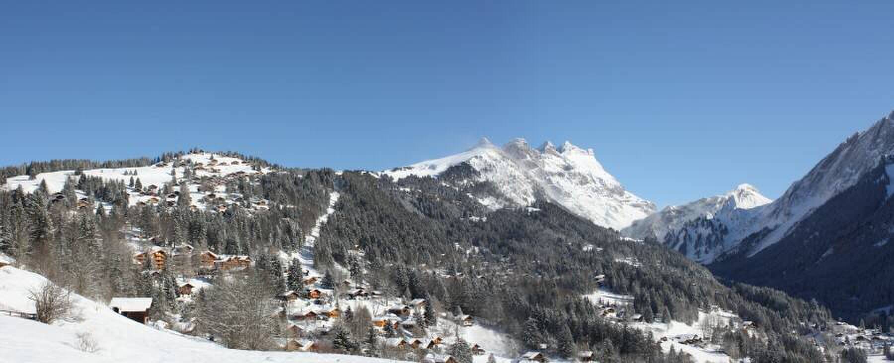 Foto 3