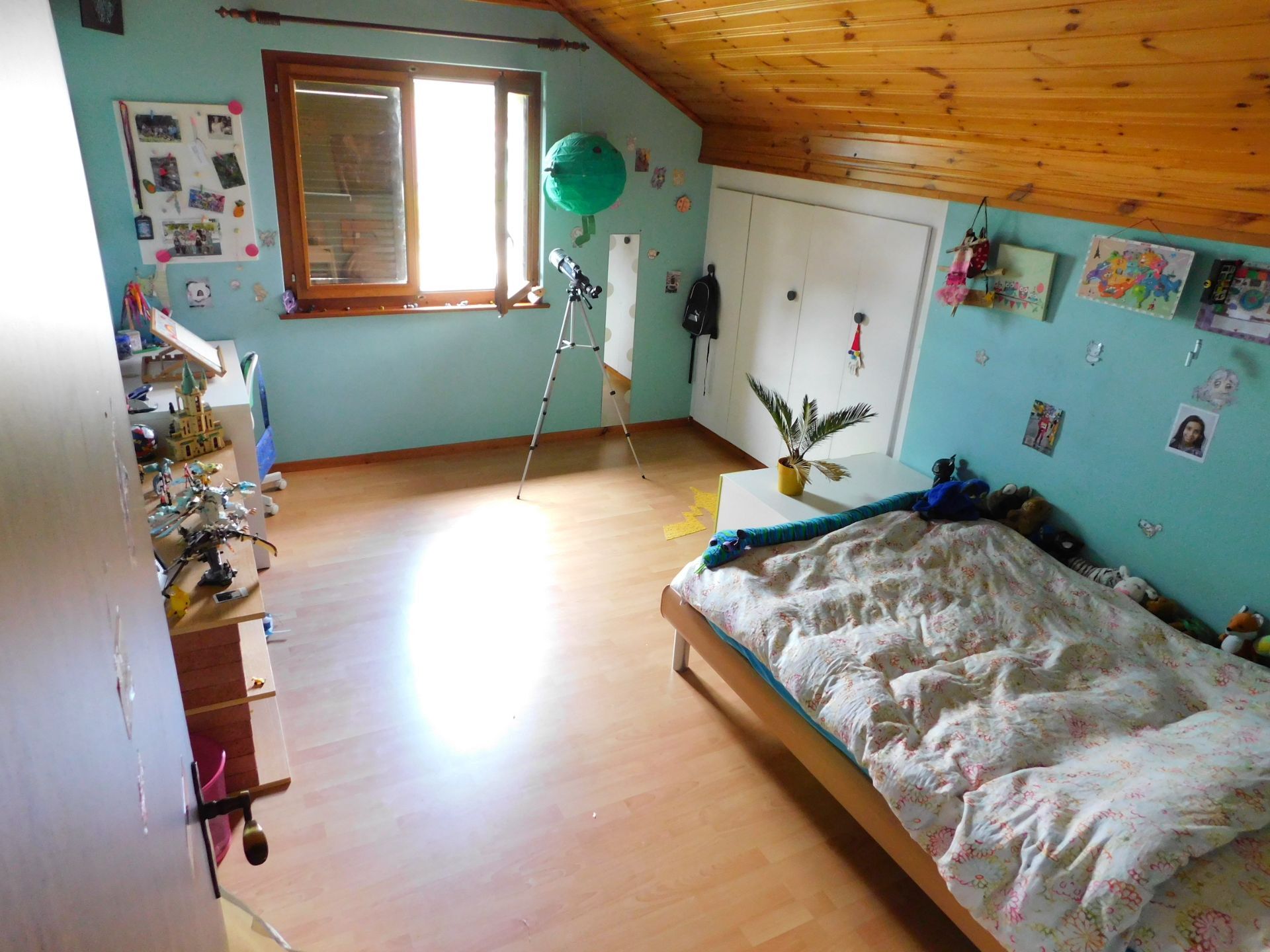 Photo 6