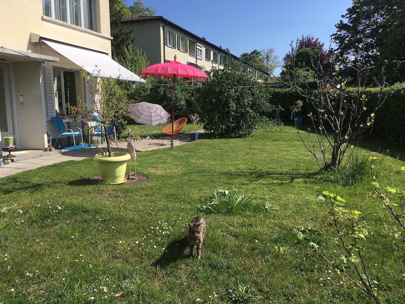 Premier coup d'oeil 1