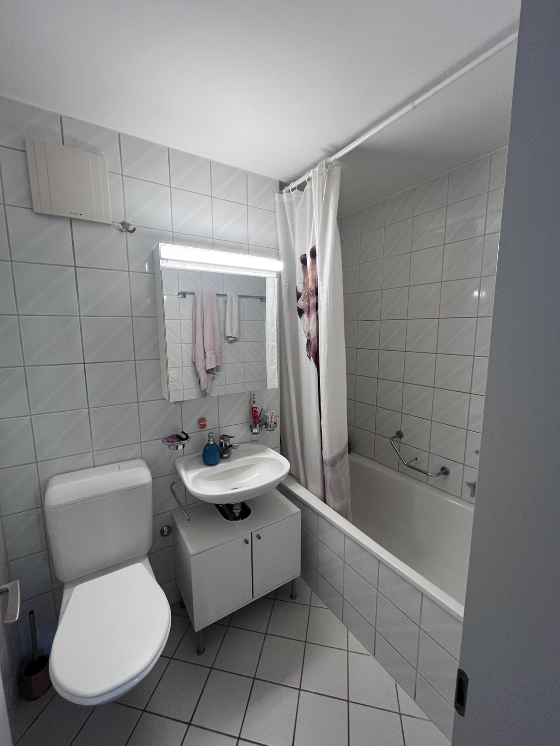 Foto 5