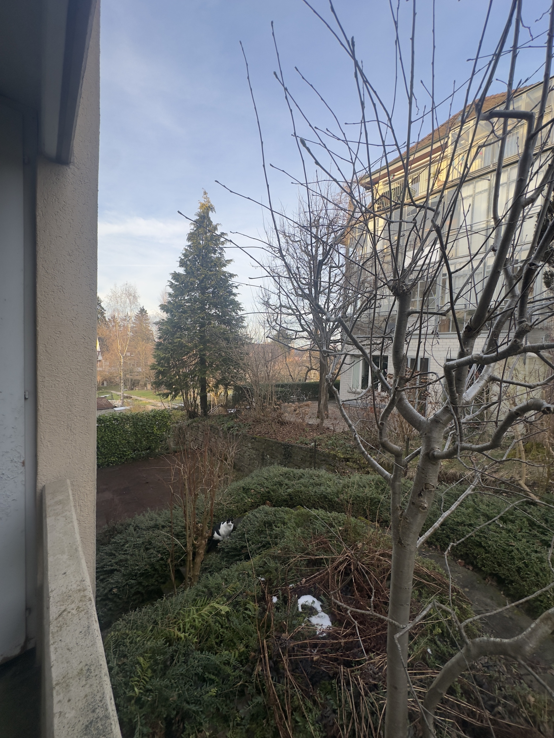 Innenansicht 1