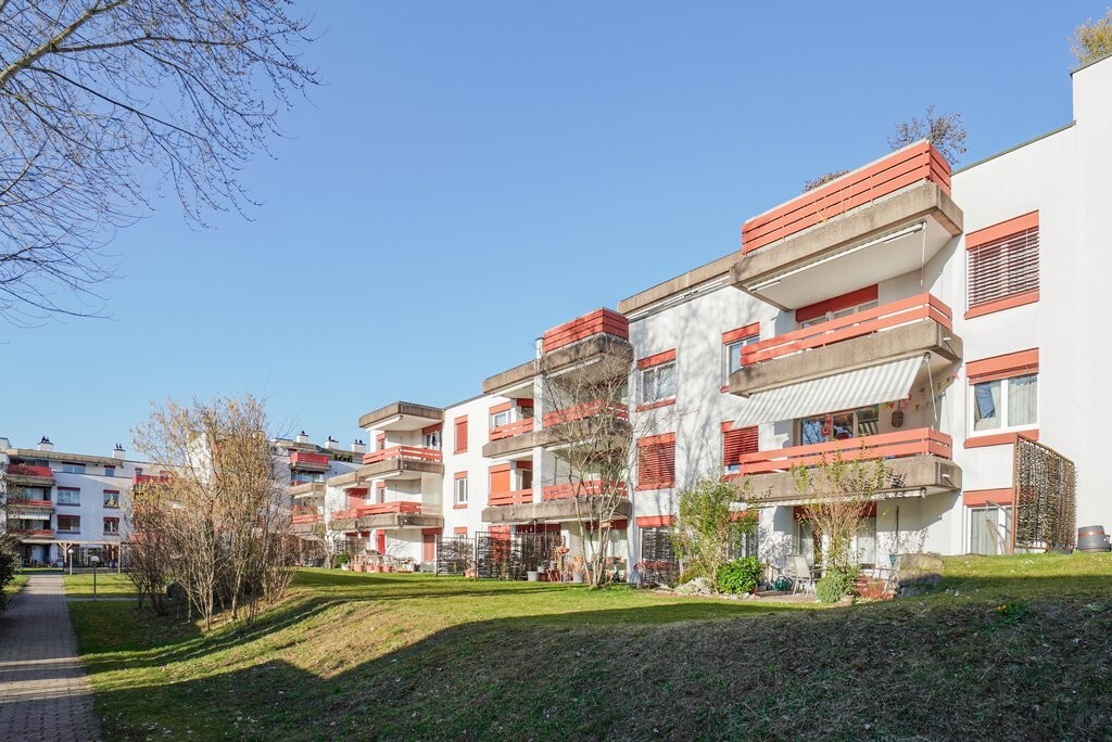 Immagine di copertina 3