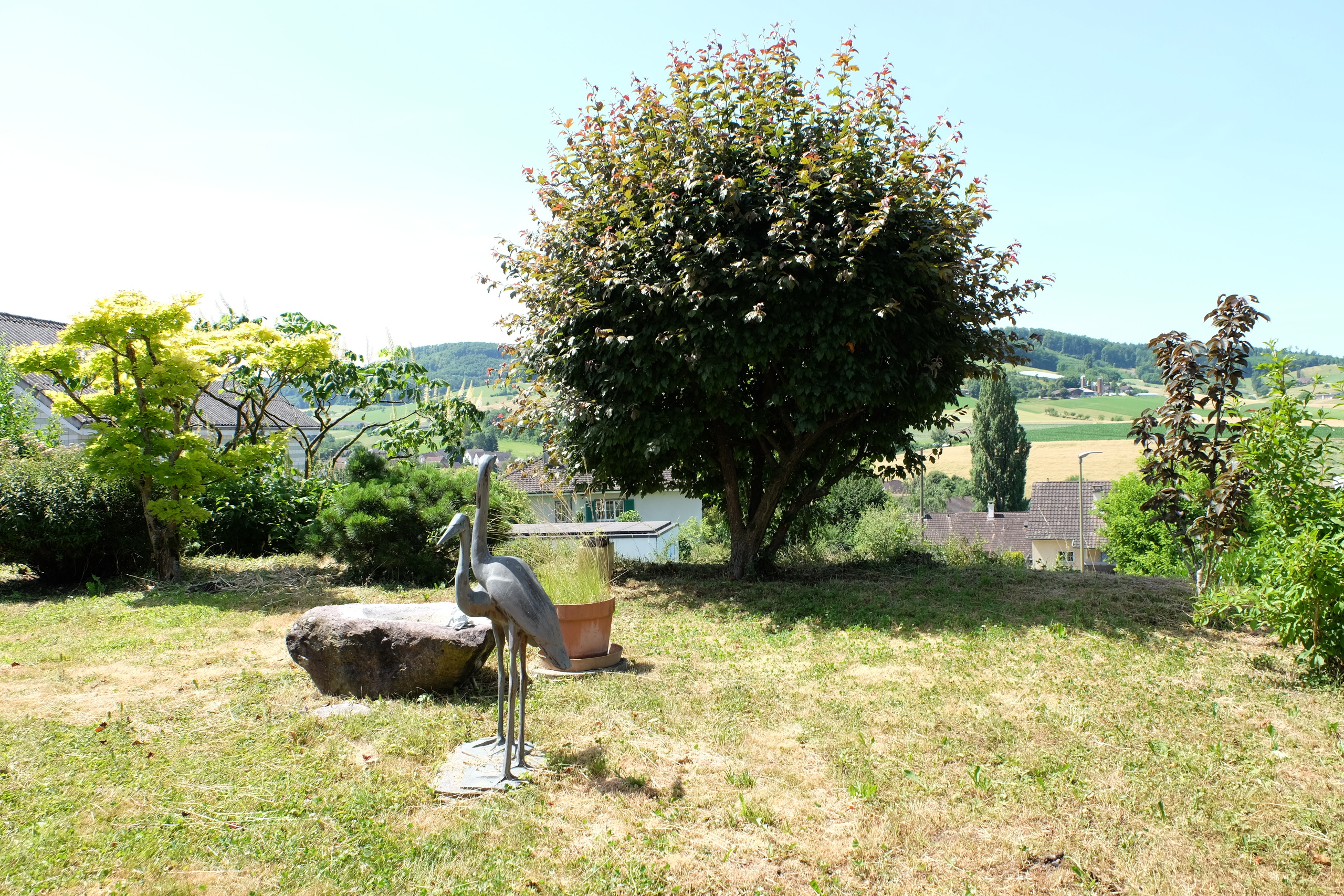 Garten vor Wohnzimmer / Pergola Garten vor Wohnzimmer / Pergola
