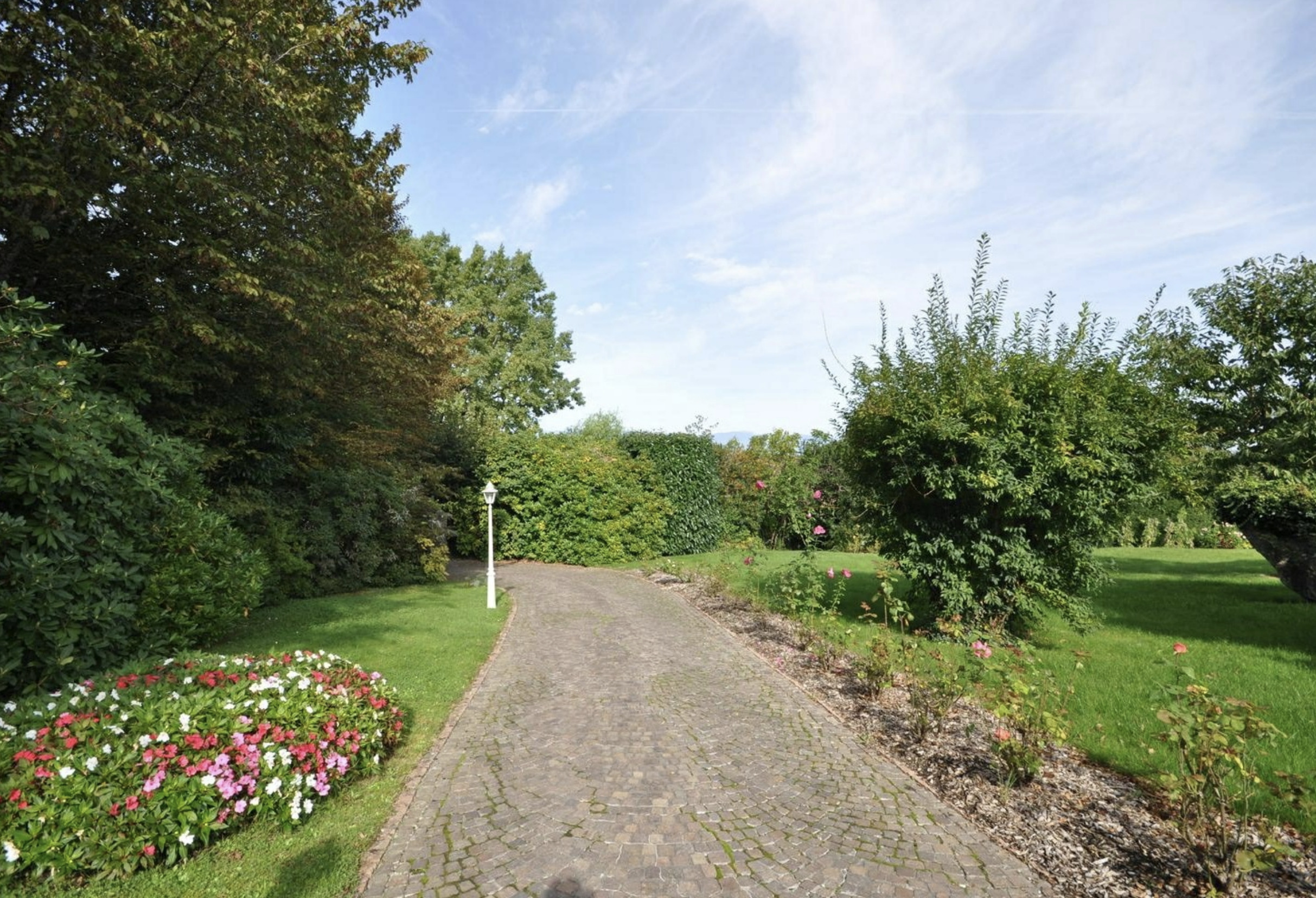 Picture 1
